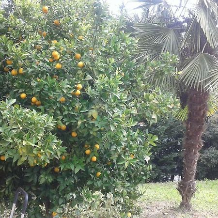 Le Palme Bed & Breakfast Chieti Bagian luar foto