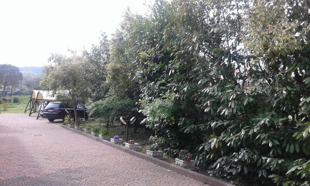 Le Palme Bed & Breakfast Chieti Bagian luar foto
